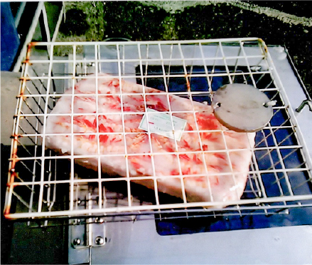 鮮度維持・秒速解凍機02