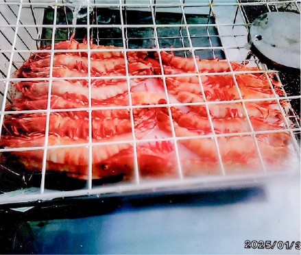 鮮度維持・秒速解凍機03