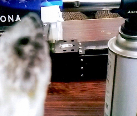 ティッシュ等の不燃化041