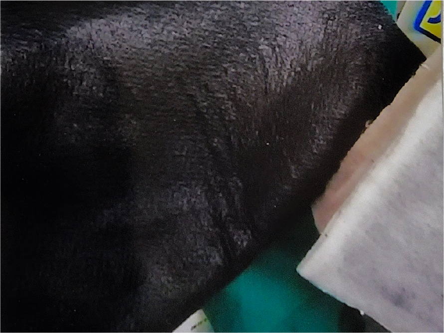 火災事故、耐熱衣服で事故避難2