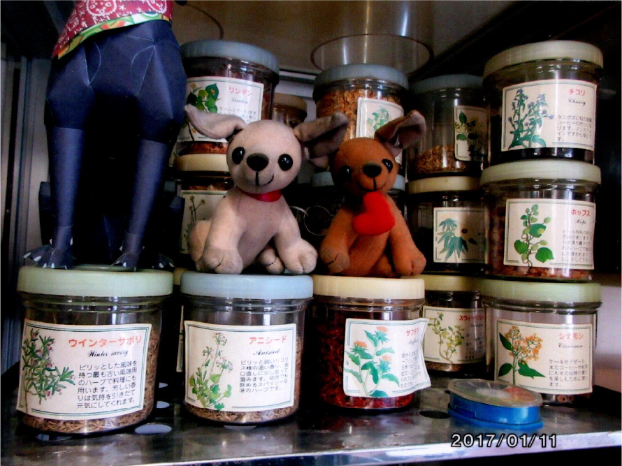 環境保全バイオ着床剤チップ各種2