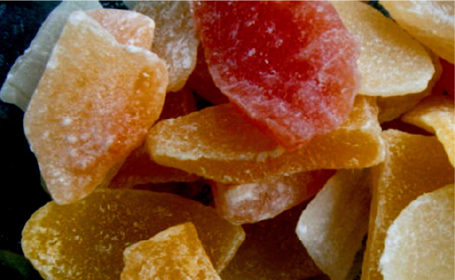 食品残渣乾燥処理機・ドライフルーツ3