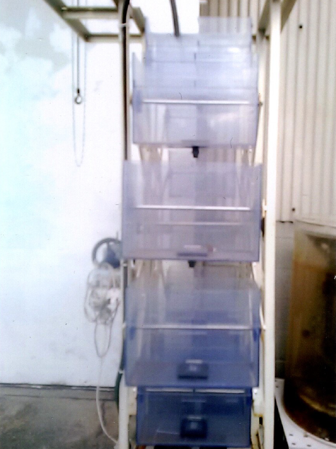 屋上で水車発電2