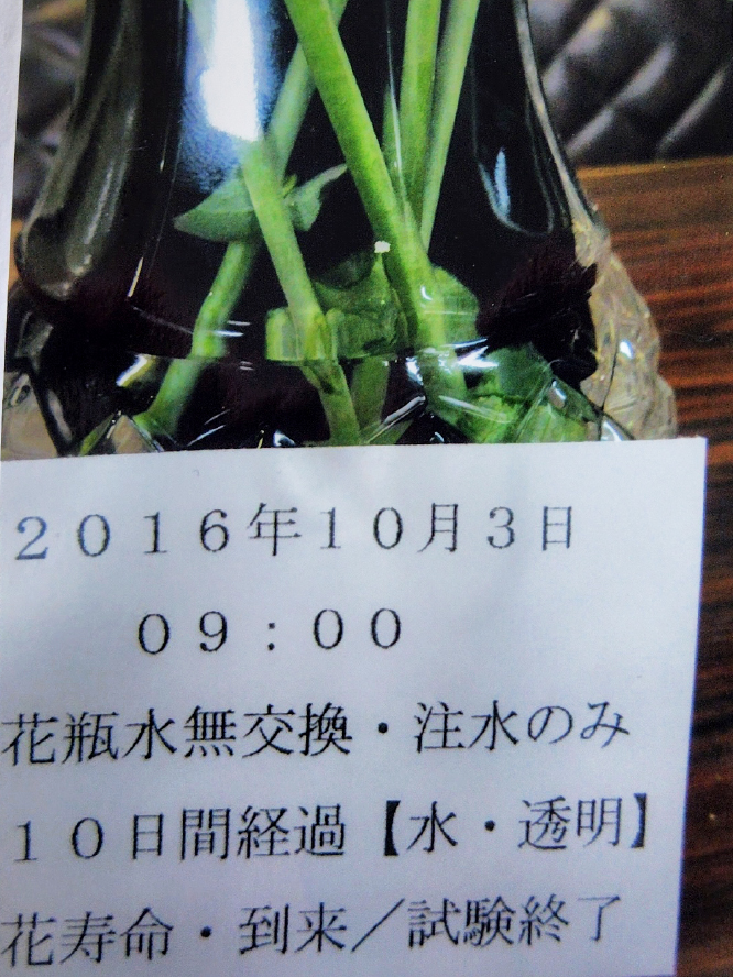 ロビー等大型花瓶水交換無用2