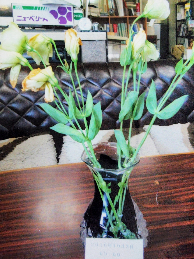 ロビー等大型花瓶水交換無用3