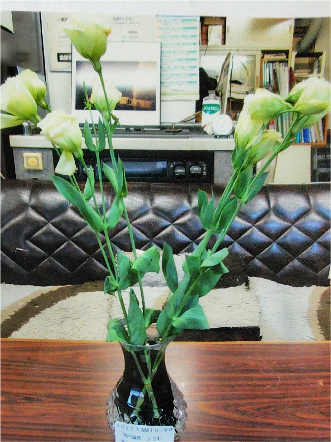 ロビー等大型花瓶水交換無用