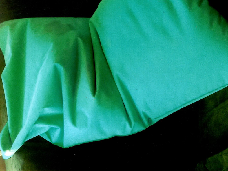 消臭装置、電動ジャッキ4